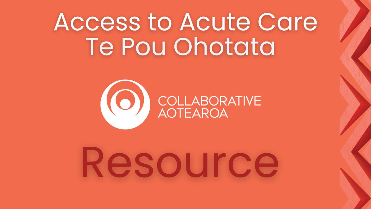 Scoping Call Demand Providers for Clinical Triage Support in General Practice
